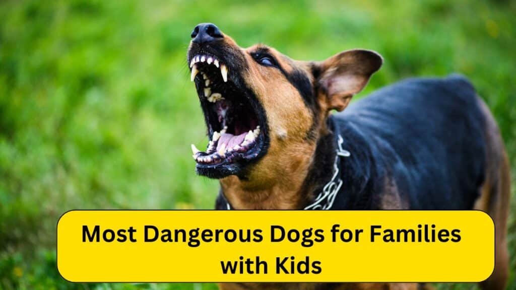 Most Dangerous Dogs for Families with Kids